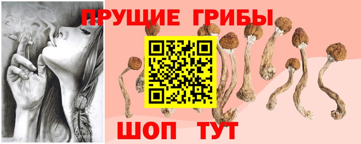 Псилоцибиновые грибы мицелий  Вход с VPN  Сорочинск 