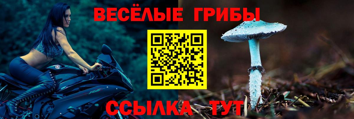 Галлюциногенные грибы Cubensis Сорочинск